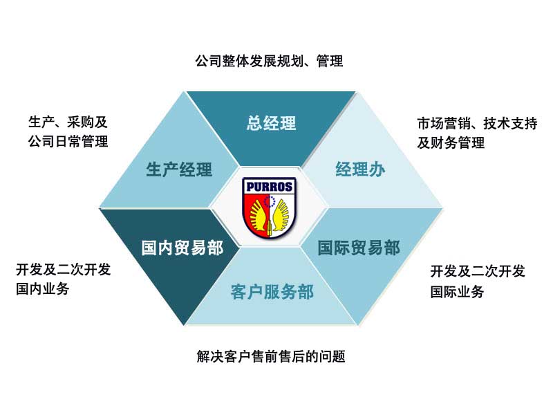 普路斯混序组织机构